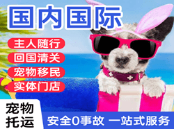 昆冈航空快运国际宠物托运 【国